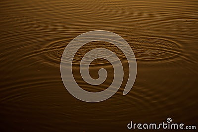 Swirls in water Stock Photo