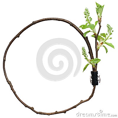 Circle decorative composition from branch Stock Photo