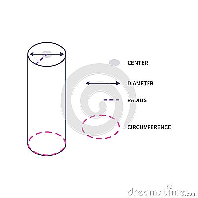 Circle geometry icon of diameter, radius and circumference Vector Illustration