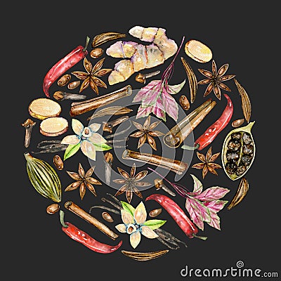 Circle illustration of watercolor spices cinnamon, anise, caraway, cardamom, basil, red pepper, ginger, vanilla and cloves Cartoon Illustration