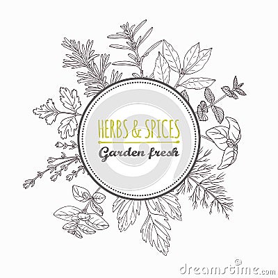 Circle label with hand drawn herbs and spices. Outline style seasonings Vector Illustration