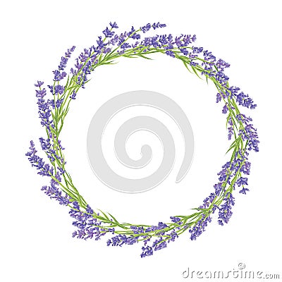 Circle of lavender flowers Vector Illustration