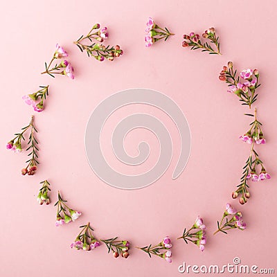 Circle made of flowers Stock Photo