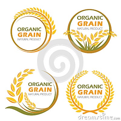 Circle paddy rice organic grain products and healthy food vector design Vector Illustration