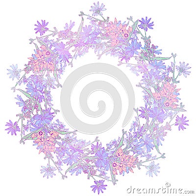 Circle pattern with chicory. Round kaleidoscope of flowers and floral elements Stock Photo