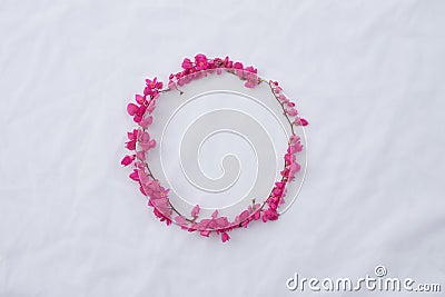 Circle pink flower frame of coral vine Stock Photo