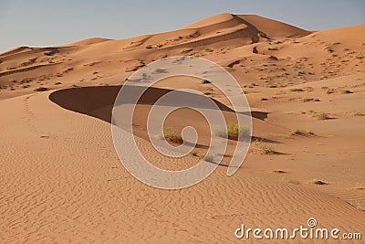 Circle-shaped dune with undulating sand and sand traces in the background large dune with horizontal lines. Oman Stock Photo