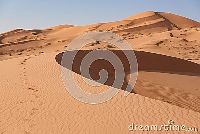 Circle-shaped dune with undulating sand and sand traces in the background large dune with horizontal lines Stock Photo