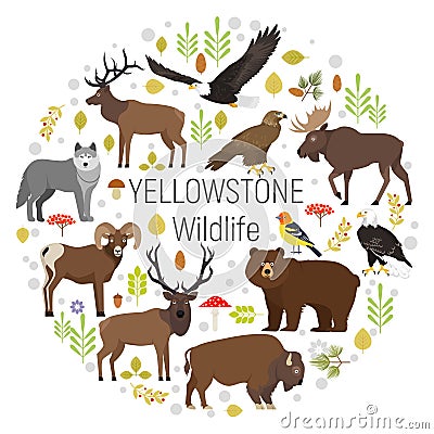 Circle vector set of plants and Yellowstone animals Vector Illustration