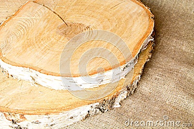 circles birch chopped eco material. Eco conceptcircles birch chopped eco material. Eco concept Stock Photo