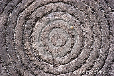 Circles on a stone with snake Stock Photo