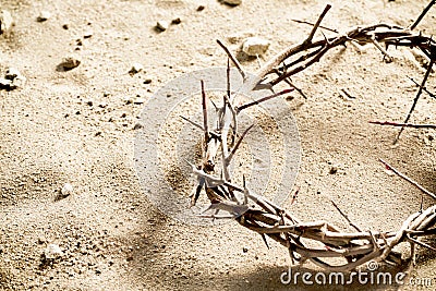 Circlet or Crown of Thorns on barren sand Stock Photo