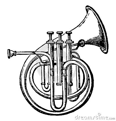 Circular Cornet, vintage illustration Vector Illustration