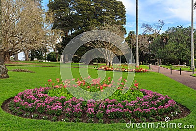 Circular flowerbeds in a park, Auckland, New Zealand Stock Photo