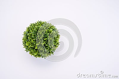 Circular green artificial potted plant directly above view Stock Photo