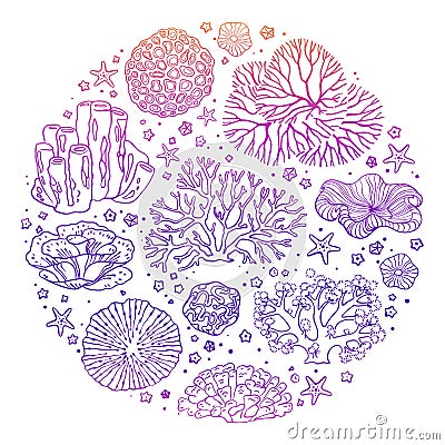 Circular pattern with many items from the ocean Stock Photo