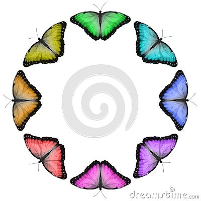 Circular Rainbow Coloured Butterfly Border Stock Photo