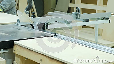 Download Circular Saw In Action, Carpenter Cutting Out Sheets Of Plywood. Manufacture Of Wooden Furniture ...