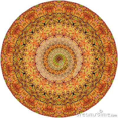 Circular shape Echeveria longissima abstract 1 Stock Photo