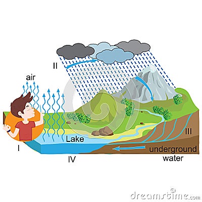 Physics - water cycle, the journey of water Vector Illustration