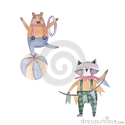 Circus bear with hoops on a ball and racoon with a garland watercolor illustration. Hand drawn isolated on white Stock Photo