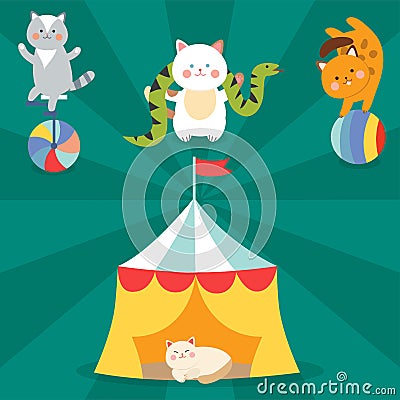 Circus cats vector cheerful illustration for kids with little domestic cartoon animals playing mammal Vector Illustration