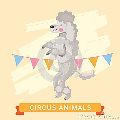 Circus Dog, vector animal series. Vector Illustration