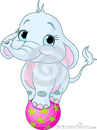 Circus Elephant Vector Illustration