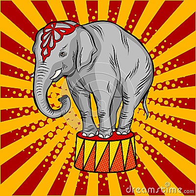 Circus elephant on pedestal pop art style vector Vector Illustration