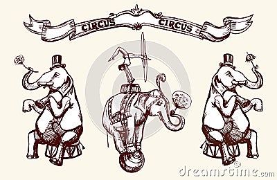 Circus elephants Vector Illustration