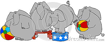 Circus elephants Cartoon Illustration