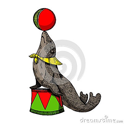 Circus seal with ball engraving vector Vector Illustration