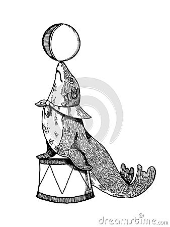 Circus seal with ball engraving vector Vector Illustration