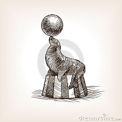 Circus seal with ball sketch vector illustration Vector Illustration