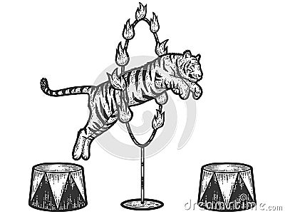 Circus, tiger jumping through a ring of fire. Sketch scratch board imitation. Cartoon Illustration