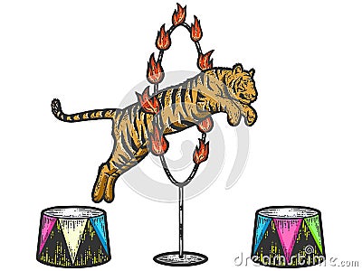 Circus, tiger jumping through a ring of fire. Sketch scratch board imitation color. Cartoon Illustration