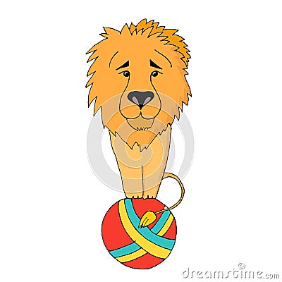 Circus trained lion sitting on a ball. Vector illustration, isolated on white background. Vector Illustration