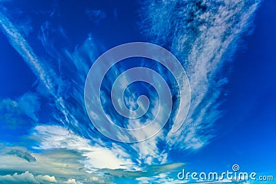Cirrus clouds of fanciful shapes Stock Photo