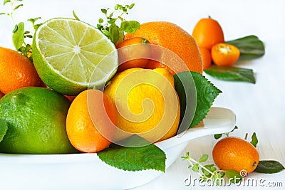 Citrus. Stock Photo