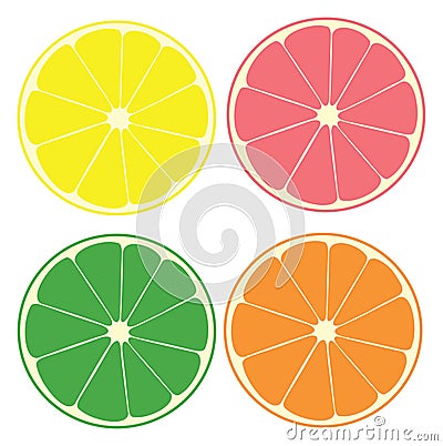 Citrus Vector Illustration