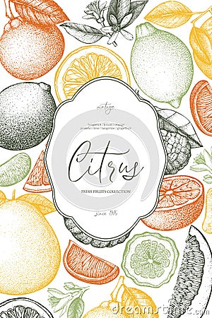 Vintage template. Ink hand drawn design with citrus fruits. Vector illustration on chalkboard. Highly detailed exotic fruit sketch Cartoon Illustration