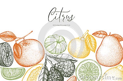 Vintage template. Ink hand drawn design with citrus fruits. Vector illustration on chalkboard. Highly detailed exotic fruit sketch Cartoon Illustration