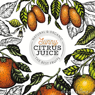 Citrus design templete. Hand drawn vector colour fruit illustration. Engraved style banner. Vintage citrus frame Cartoon Illustration