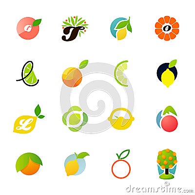 Citrus family - lemon, orange, lime, tangerine Vector Illustration