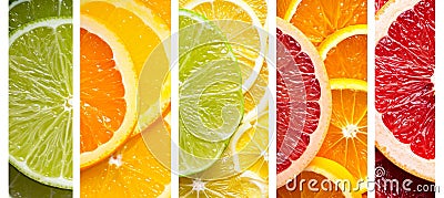 Citrus fruit collage divided with white vertical lines, 7 segments, bright white light Stock Photo