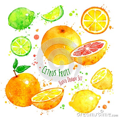 Citrus fruit Stock Photo