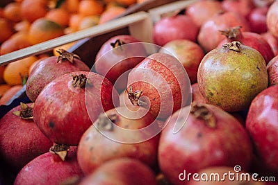 Citrus fruit with leaves Stock Photo