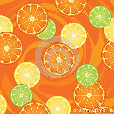 Citrus fruit slices Stock Photo