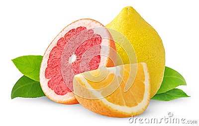 Isolated citrus fruits Stock Photo