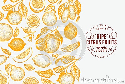 Citrus fruits banner template. Hand drawn vector fruit illustration. Engraved style. Vintage citrus background. Vector Illustration